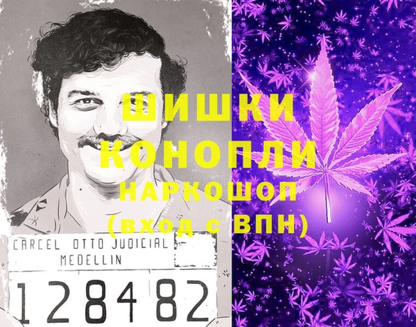 ПСИЛОЦИБИНОВЫЕ ГРИБЫ Арсеньев