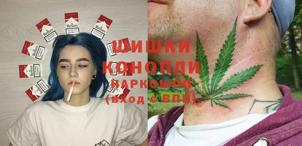 ПСИЛОЦИБИНОВЫЕ ГРИБЫ Арсеньев