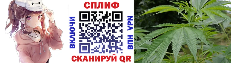 магазин  наркотиков  Ряжск  маркетплейс официальный сайт  Шишки марихуана White Widow 